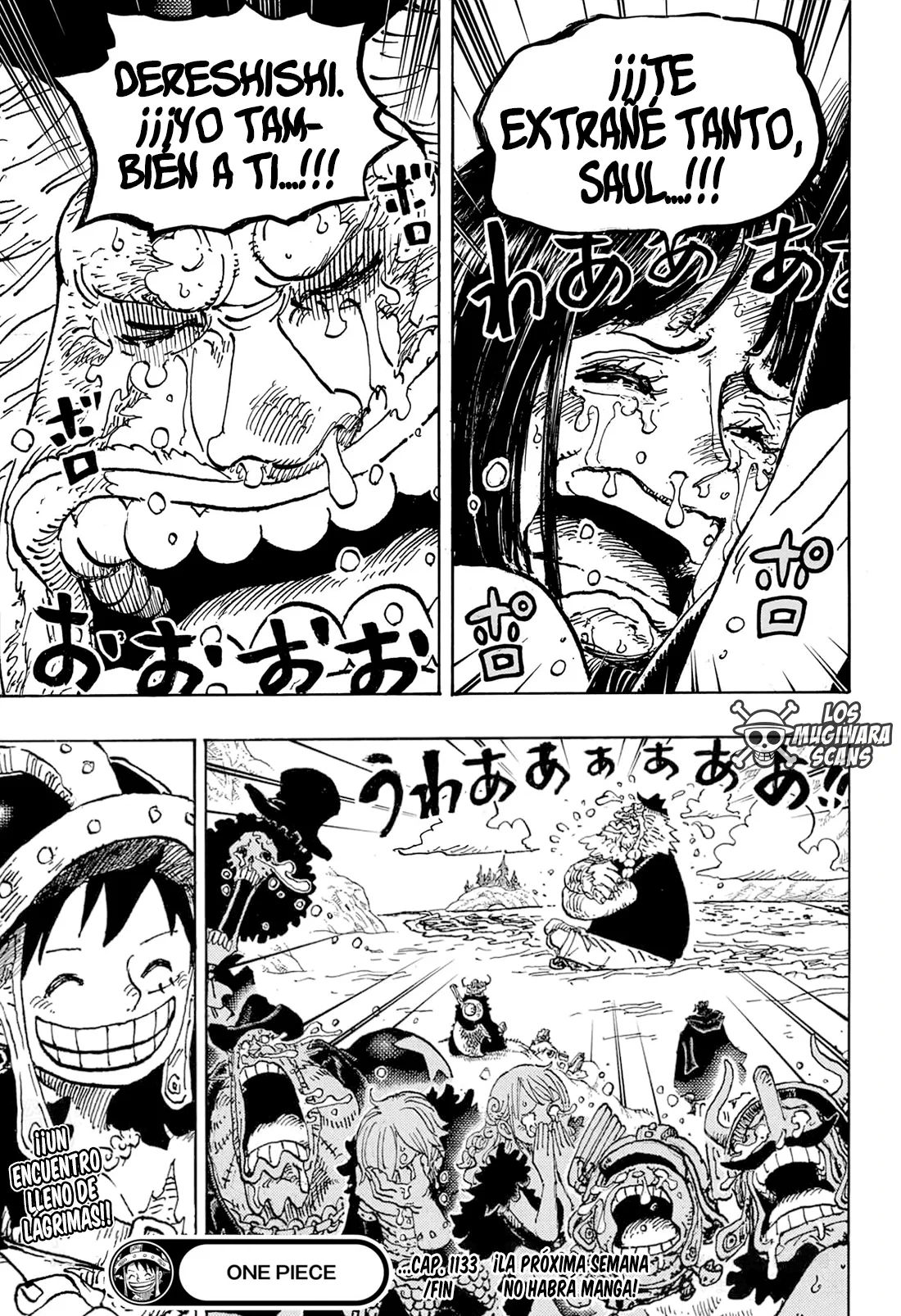 One Piece - Capítulo 1133 - Página 17 - LectorTMOo