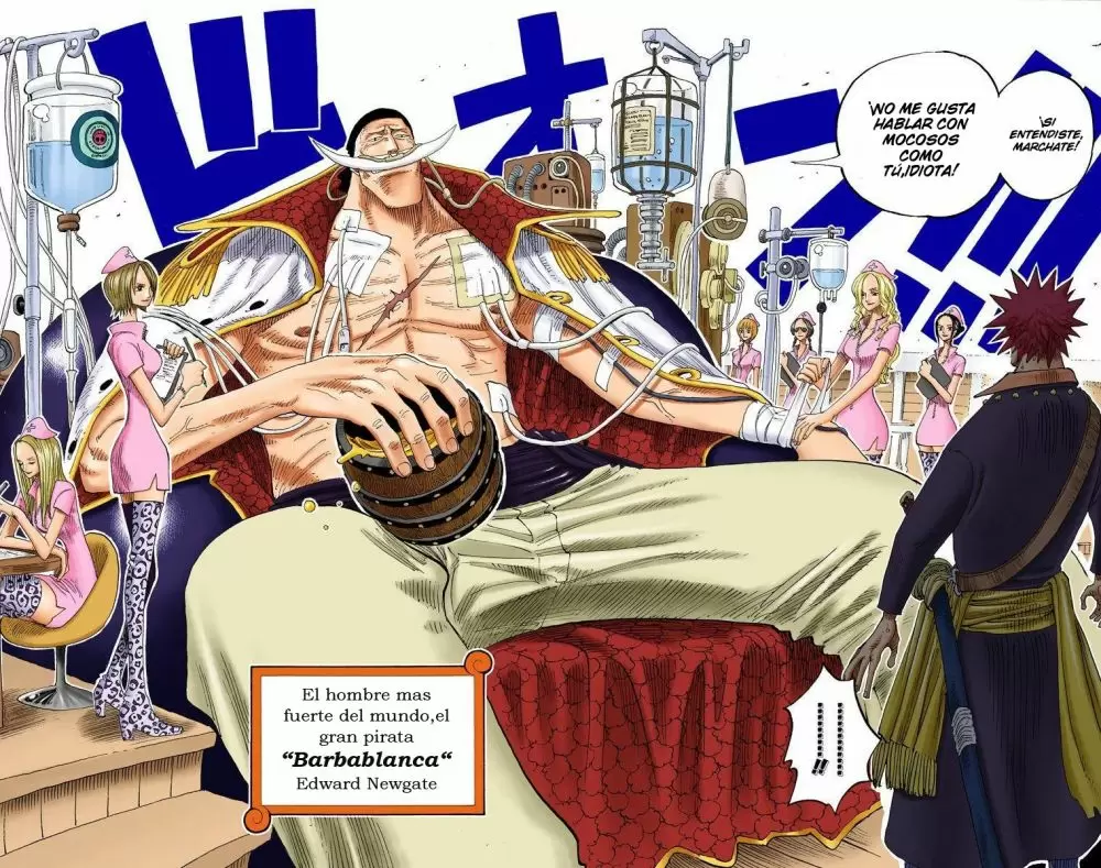 One Piece - Capítulo 234 - Página 12 - LectorTMOo