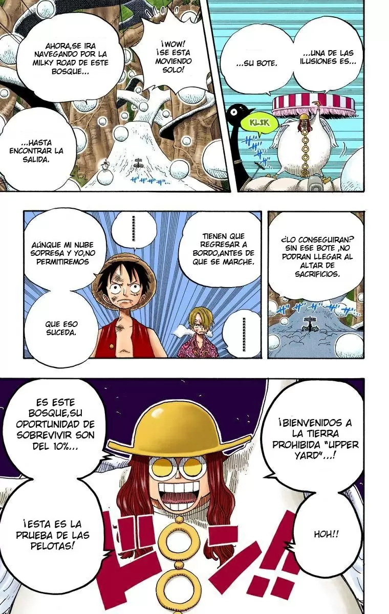 One Piece - Capítulo 246 - Página 18 - LectorTMOo