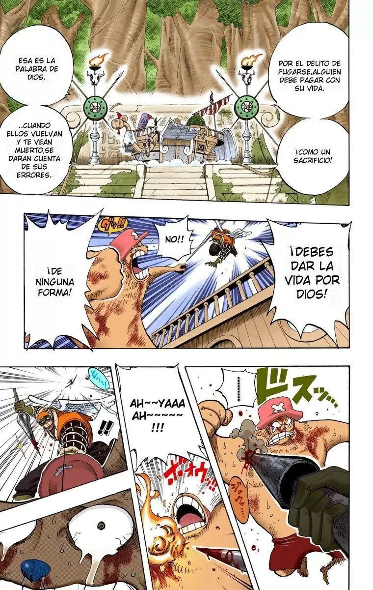 One Piece - Capítulo 248 - Página 15 - LectorTMOo