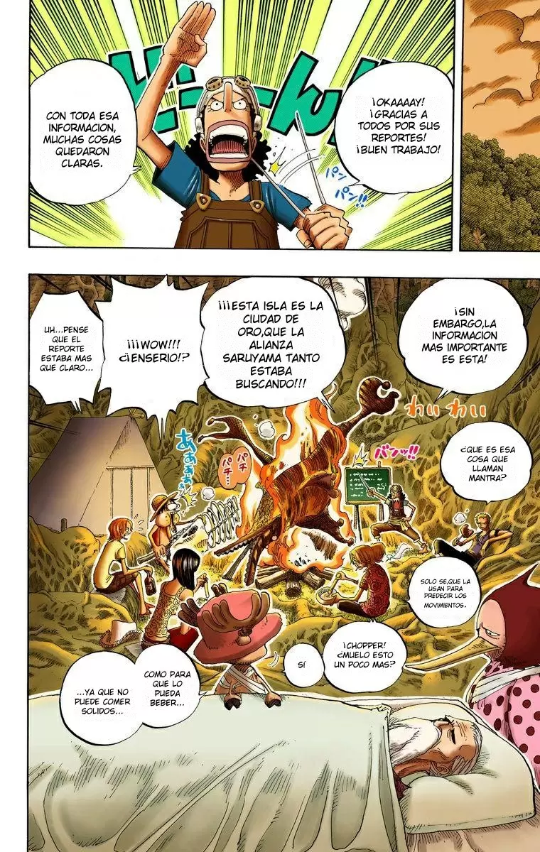 One Piece - Capítulo 252 - Página 18 - LectorTMOo