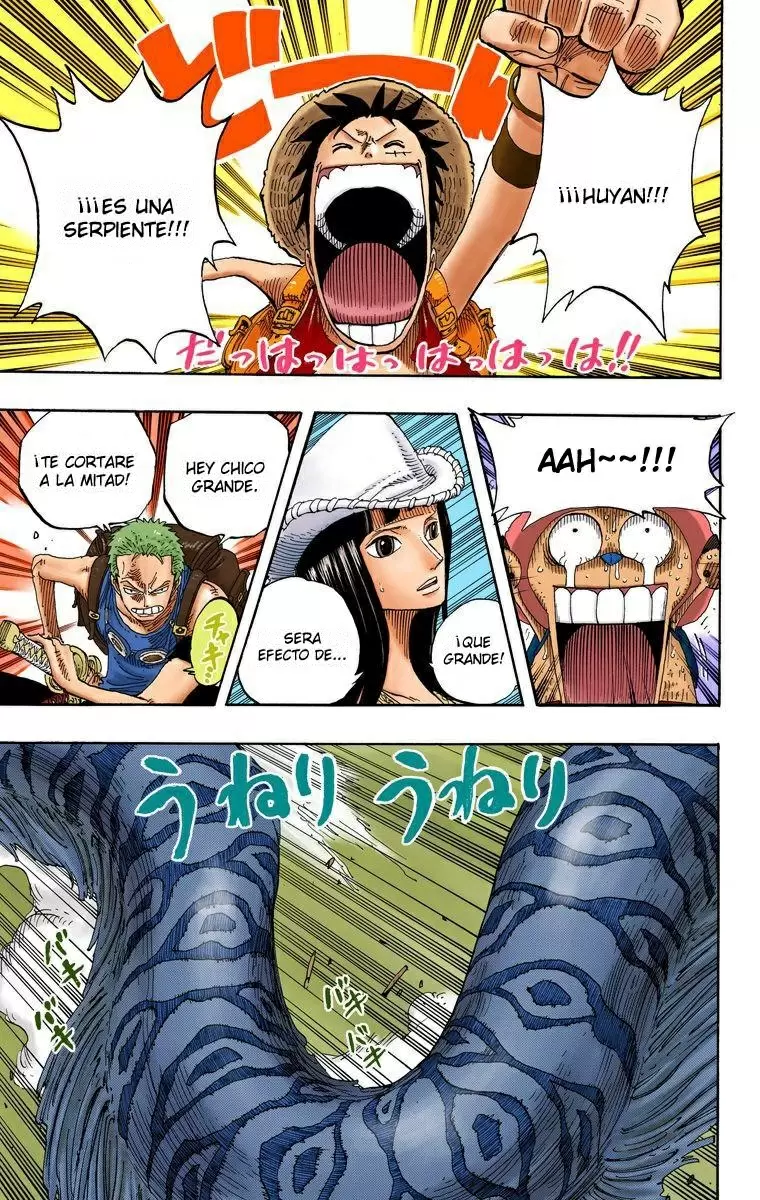 One Piece - Capítulo 255 - Página 13 - LectorTMOo