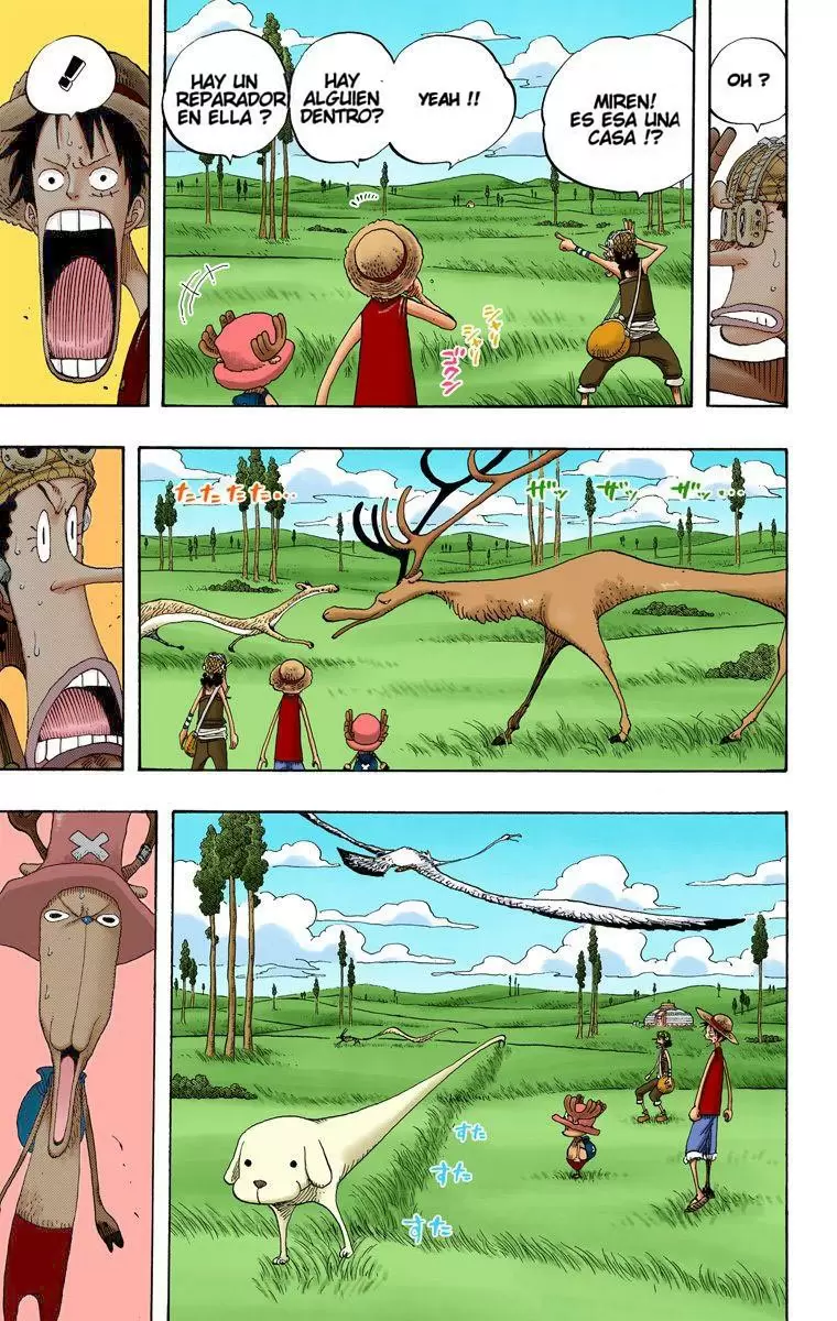 One Piece - Capítulo 304 - Página 13 - LectorTMOo