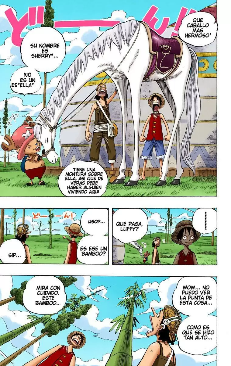 One Piece - Capítulo 304 - Página 15 - LectorTMOo