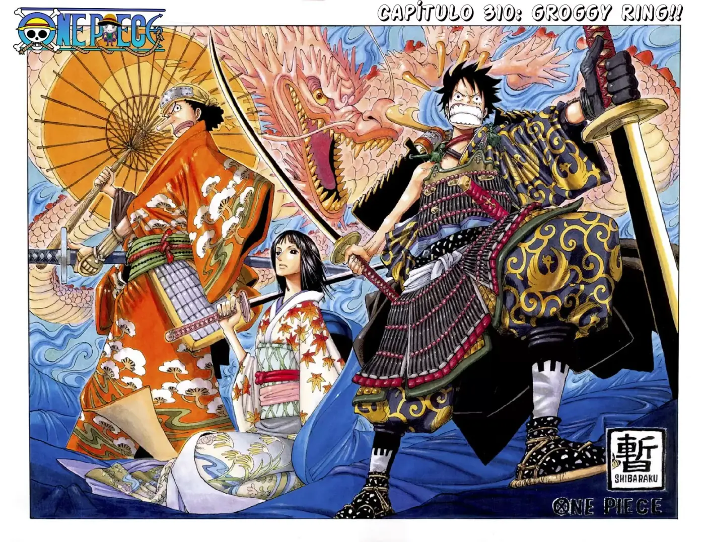 One Piece - Capítulo 310 - Página 1 - LectorTMOo