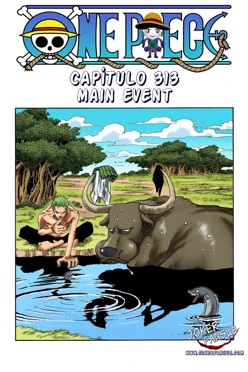 One Piece - Capítulo 313 - Página 1 - LectorTMOo