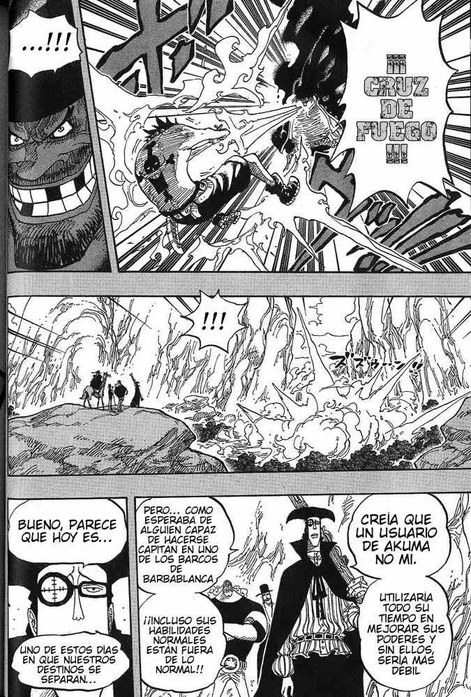 One Piece - Capítulo 441 - Página 14 - LectorTMOo