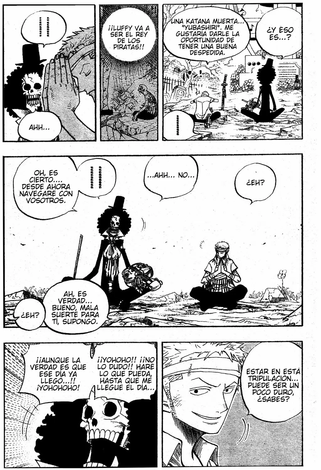 One Piece - Capítulo 489 - Página 12 - LectorTMOo