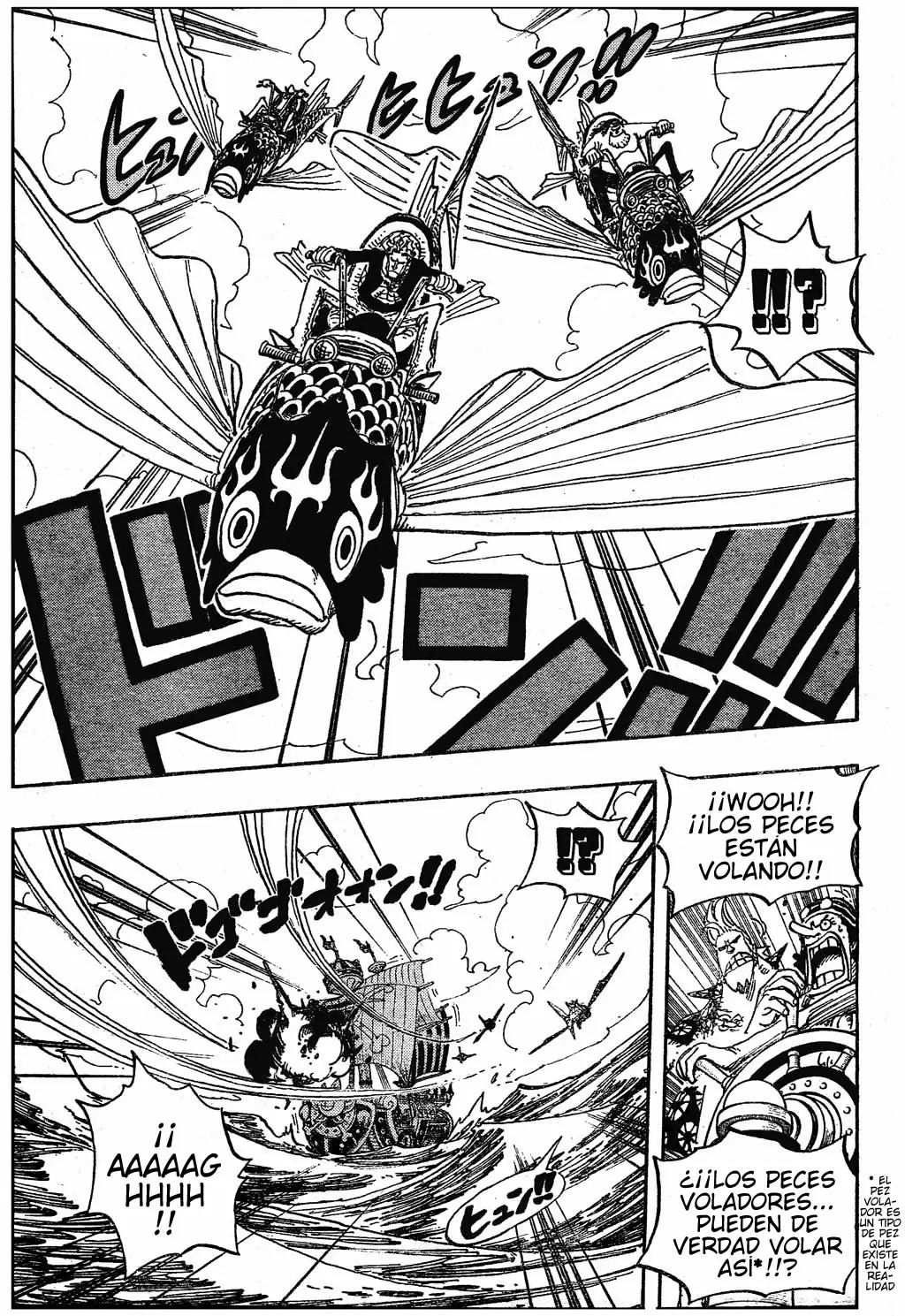 One Piece - Capítulo 491 - Página 17 - LectorTMOo