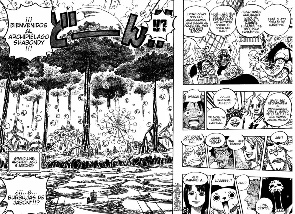 One Piece - Capítulo 496 - Página 12 - LectorTMOo