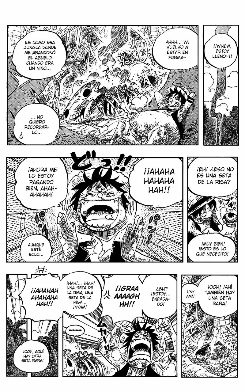 One Piece - Capítulo 514 - Página 12 - LectorTMOo