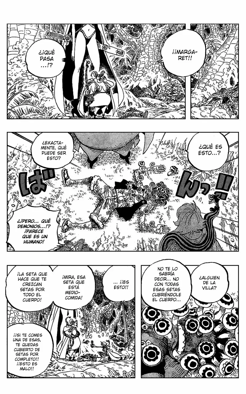 One Piece - Capítulo 514 - Página 13 - LectorTMOo