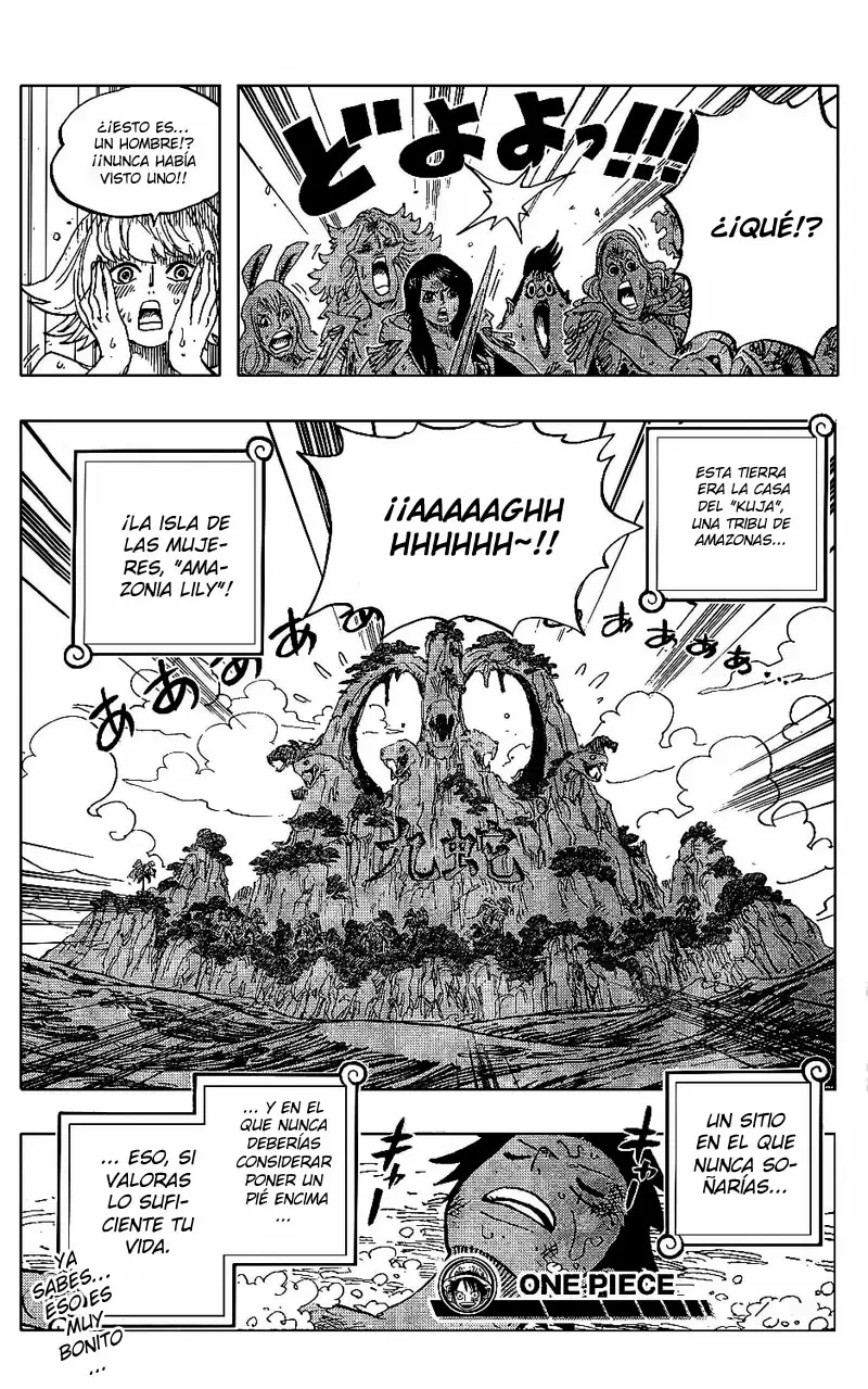 One Piece - Capítulo 514 - Página 18 - LectorTMOo
