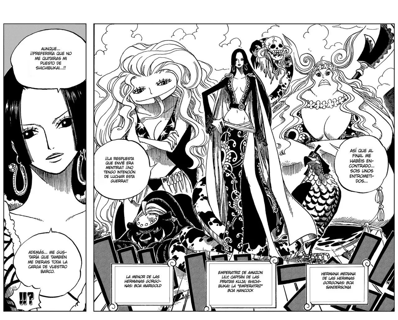 One Piece - Capítulo 516 - Página 11 - LectorTMOo