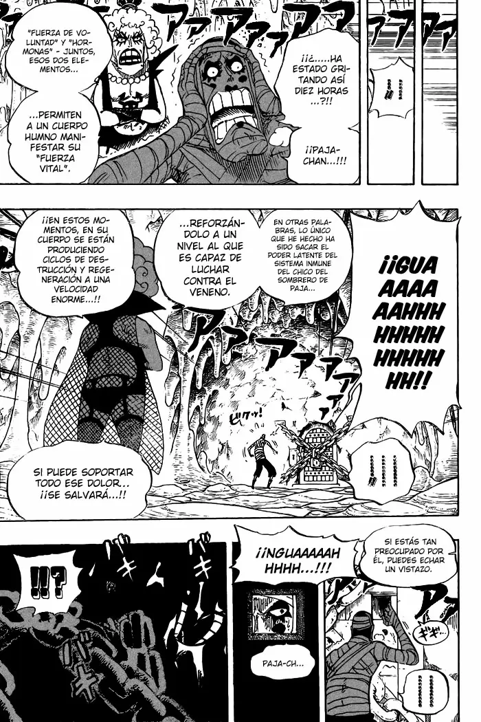 One Piece - Capítulo 538 - Página 5 - LectorTMOo