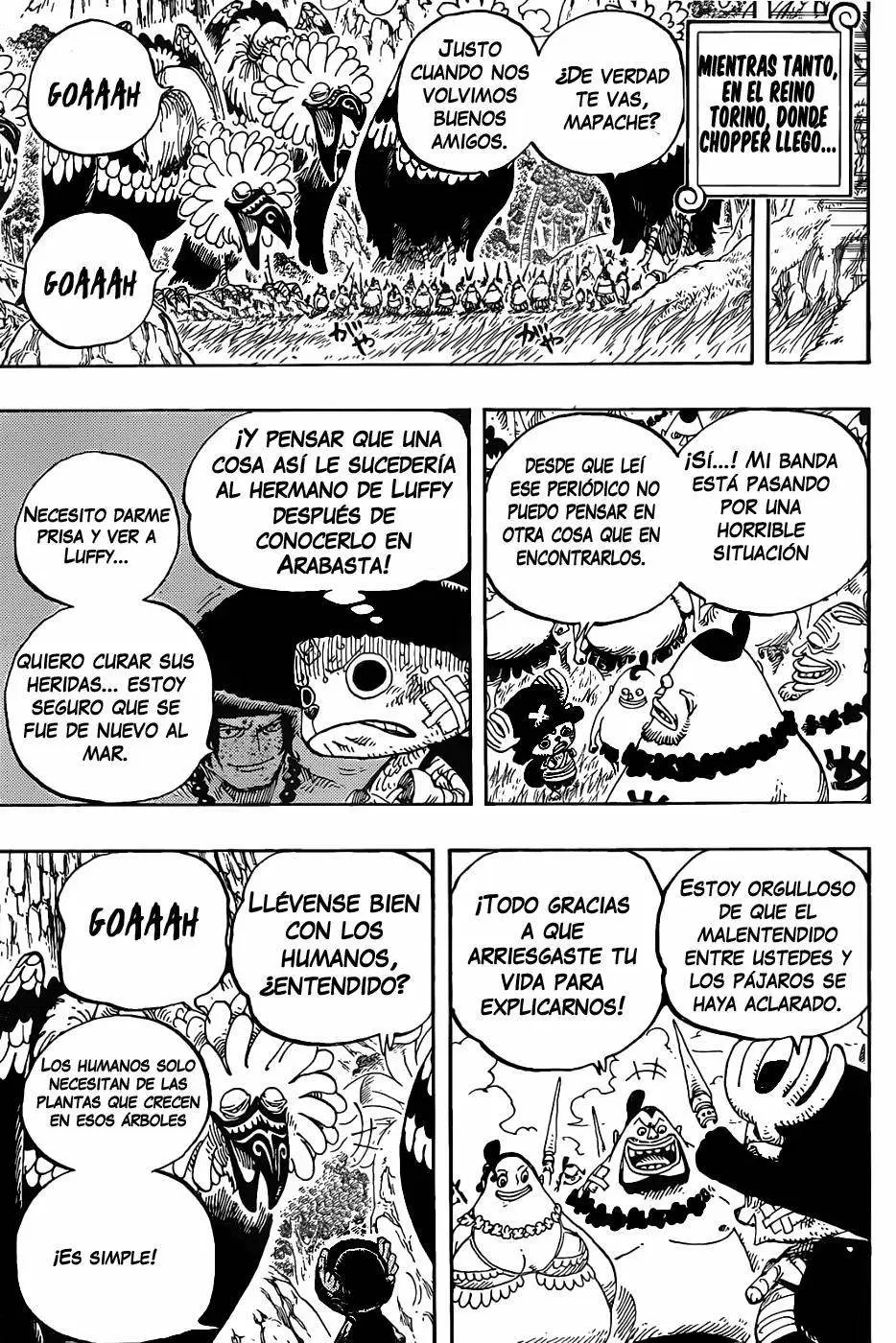 One Piece - Capítulo 591 - Página 18 - LectorTMOo