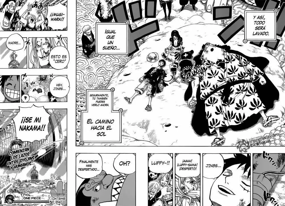One Piece - Capítulo 648 - Página 18 - LectorTMOo