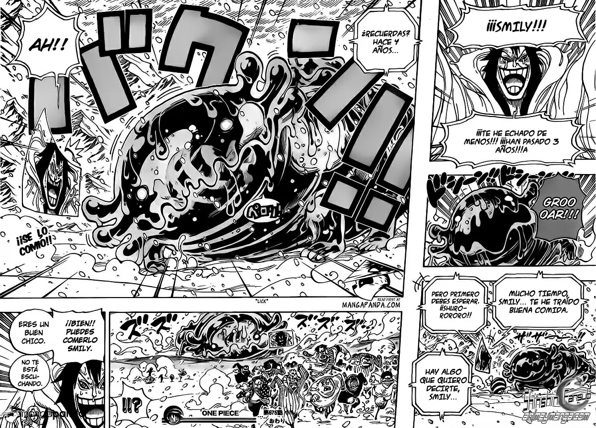 One Piece - Capítulo 675 - Página 18 - LectorTMOo