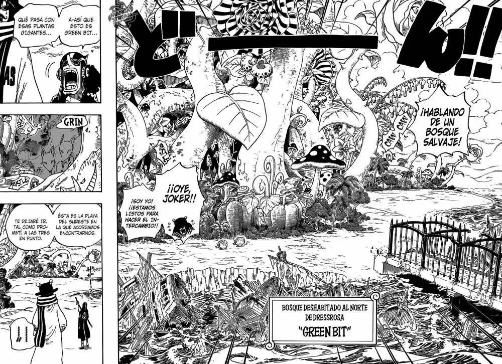 One Piece - Capítulo 710 - Página 13 - LectorTMOo