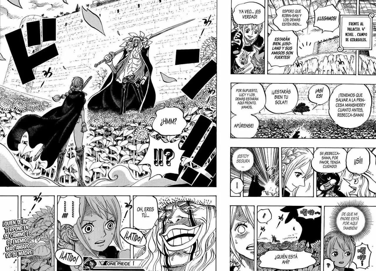One Piece - Capítulo 756 - Página 18 - LectorTMOo