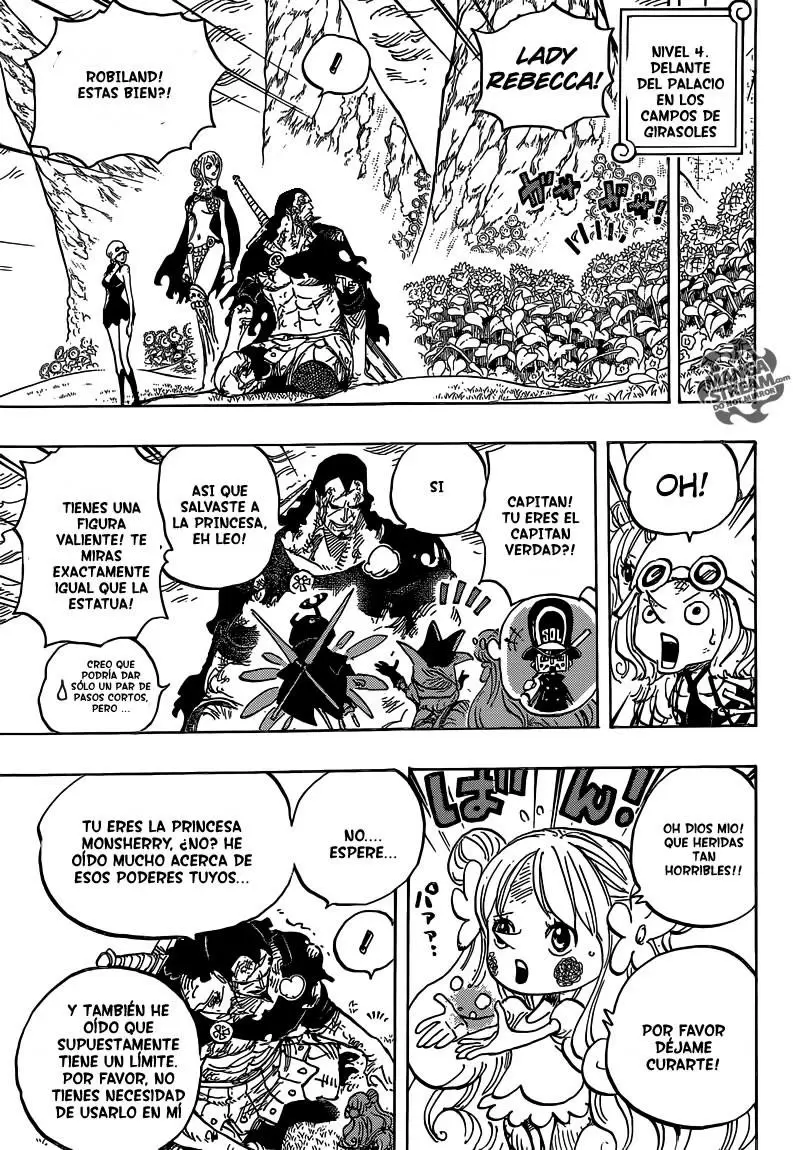 One Piece - Capítulo 779 - Página 14 - LectorTMOo