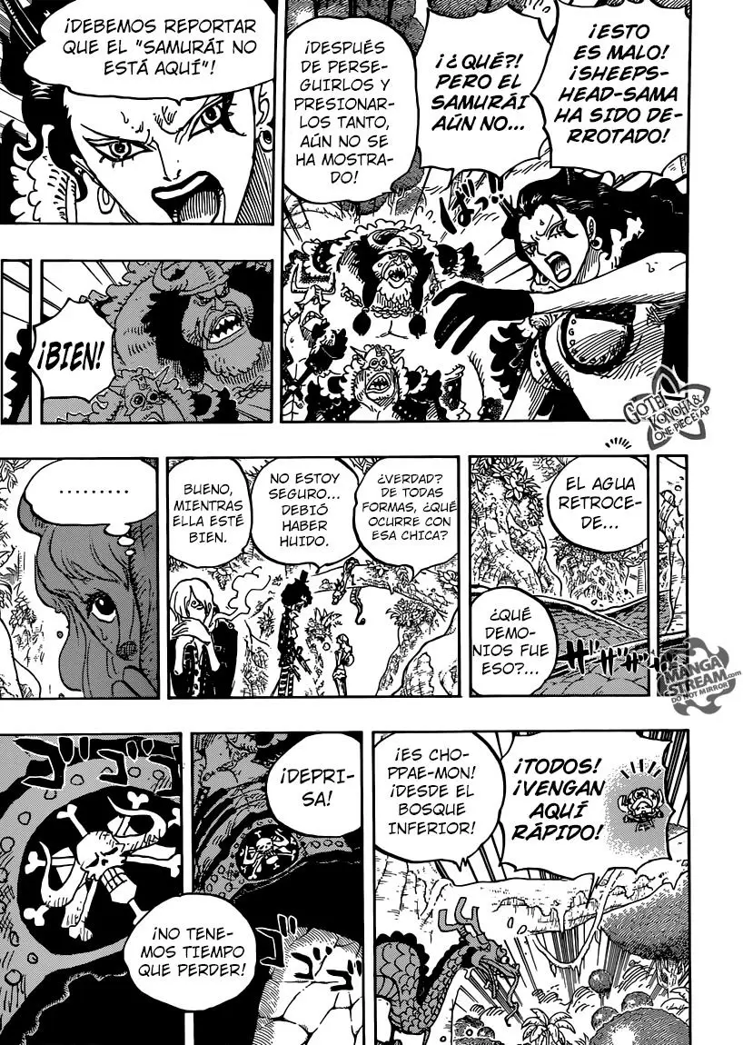 One Piece - Capítulo 795 - Página 10 - LectorTMOo