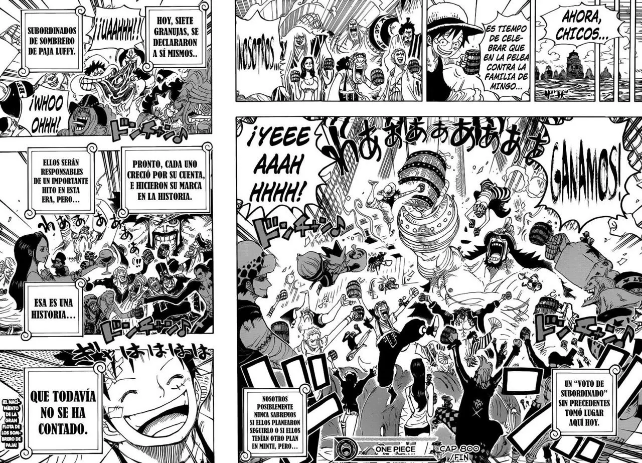 One Piece - Capítulo 800 - Página 14 - LectorTMOo