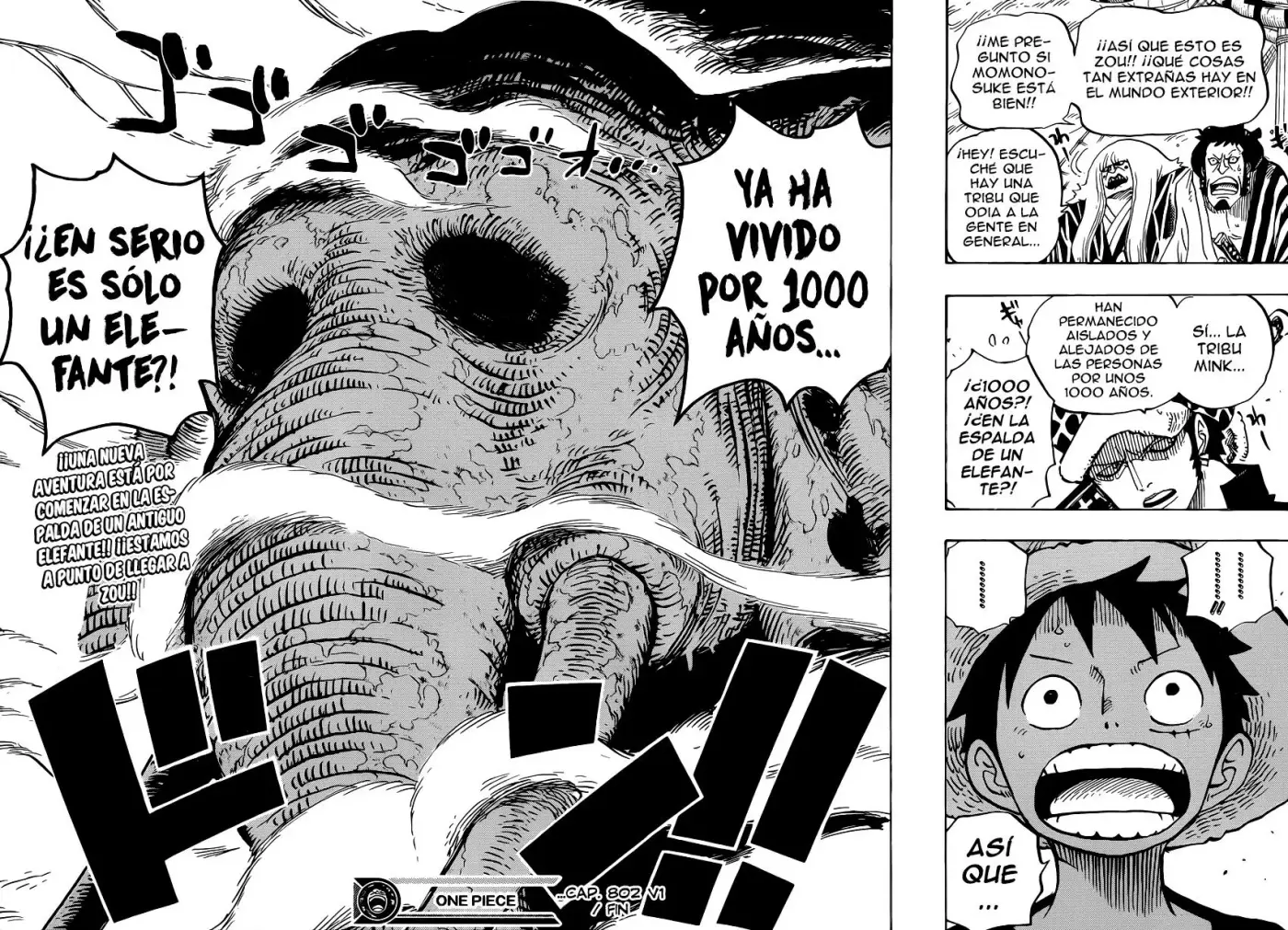 One Piece - Capítulo 802 - Página 15 - LectorTMOo