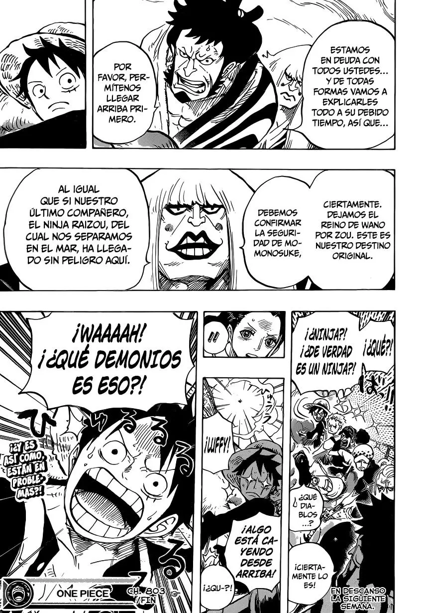 One Piece - Capítulo 803 - Página 14 - LectorTMOo