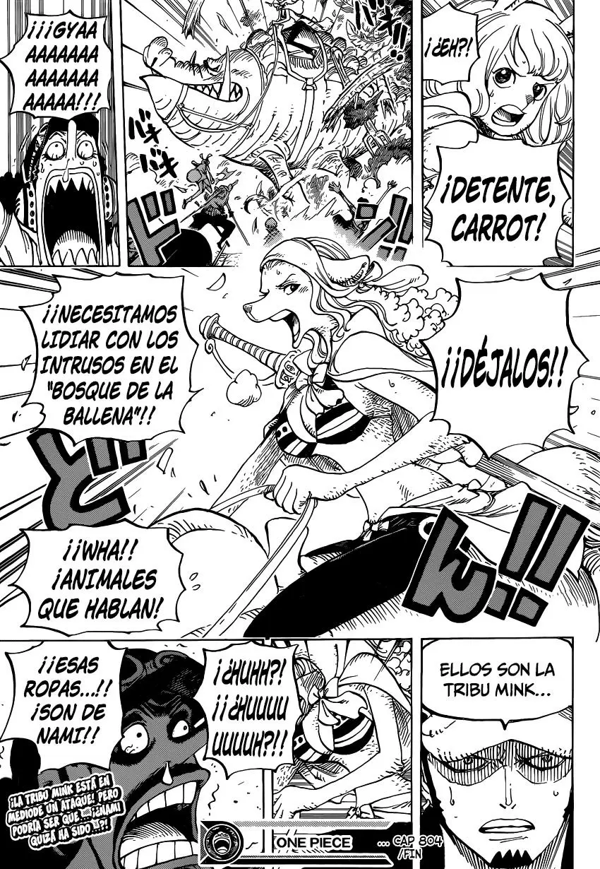 One Piece - Capítulo 804 - Página 17 - LectorTMOo