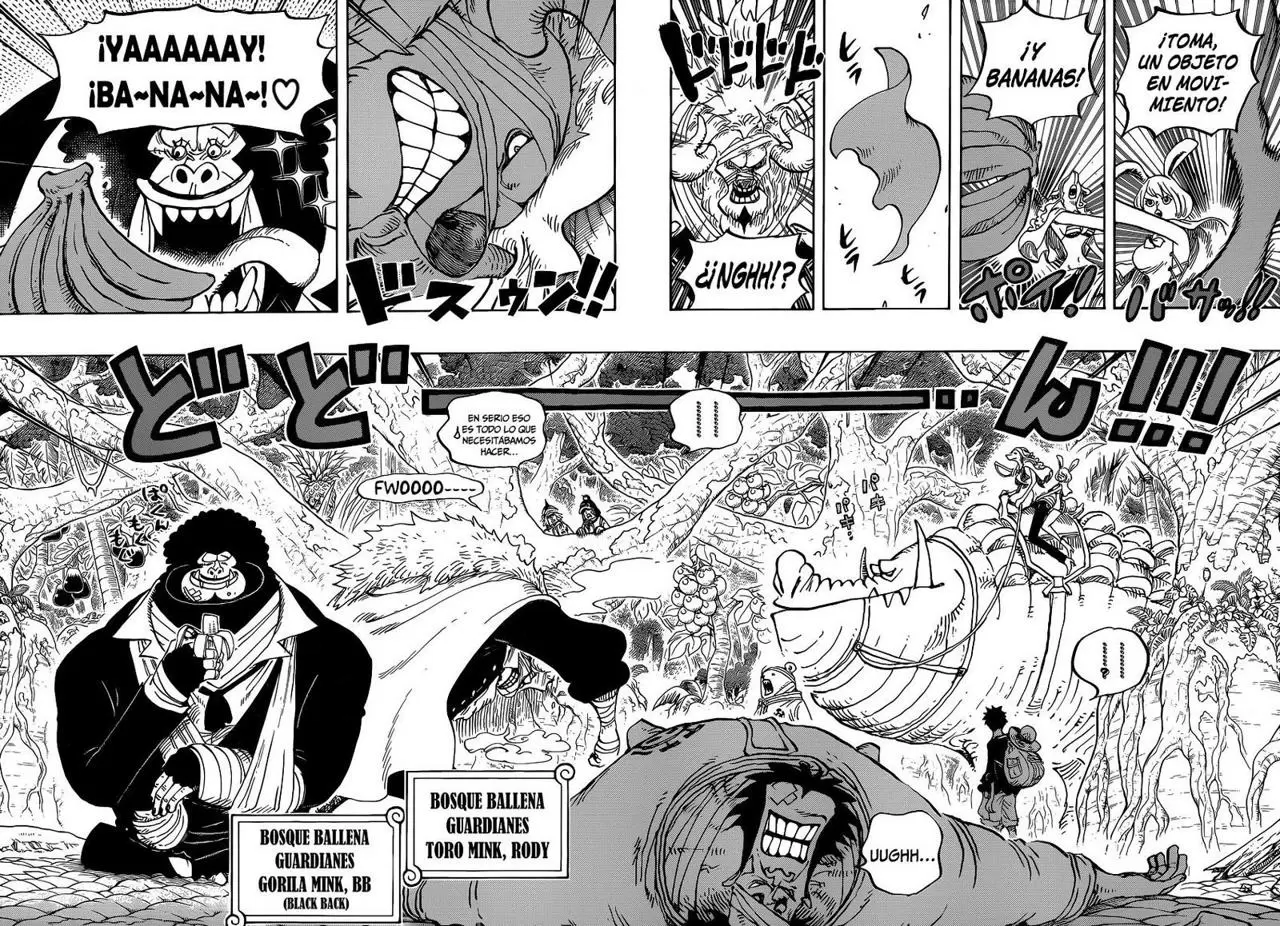 One Piece - Capítulo 805 - Página 11 - LectorTMOo
