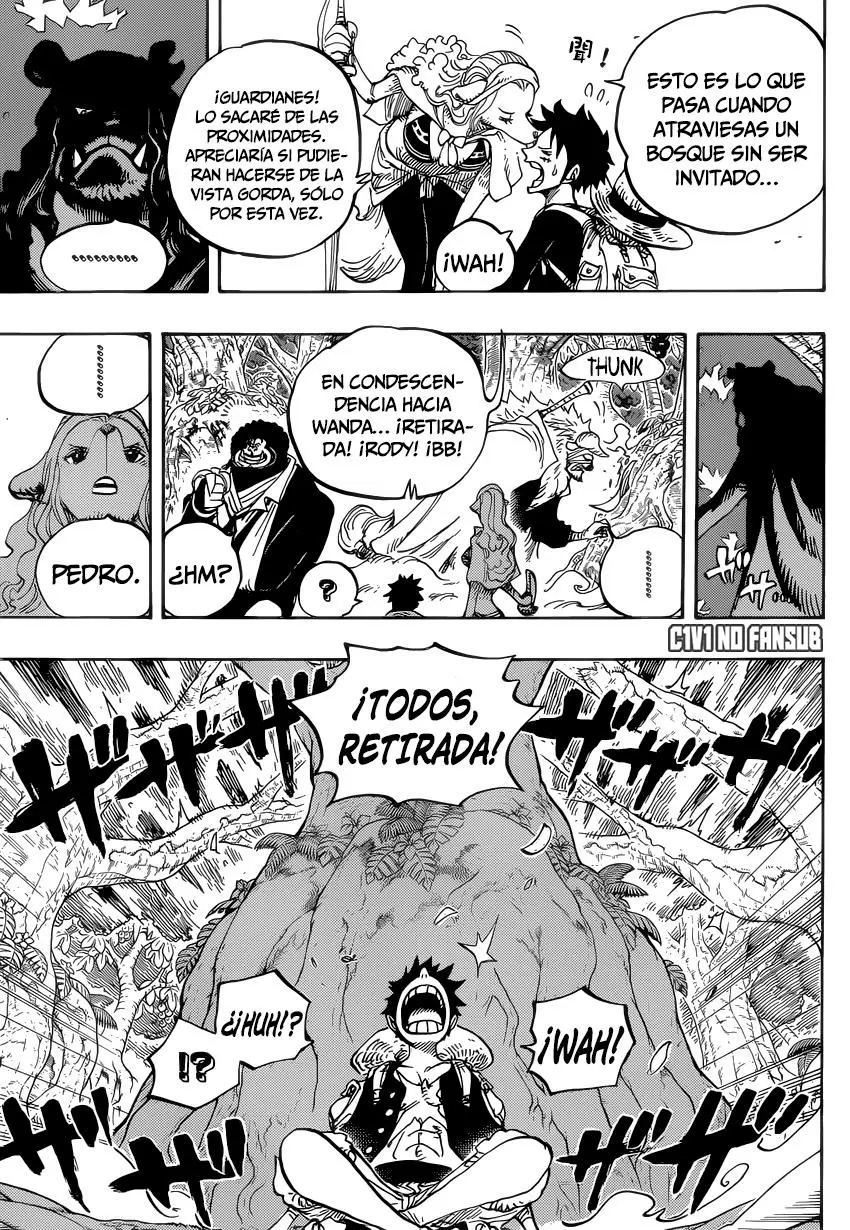 One Piece - Capítulo 805 - Página 13 - LectorTMOo
