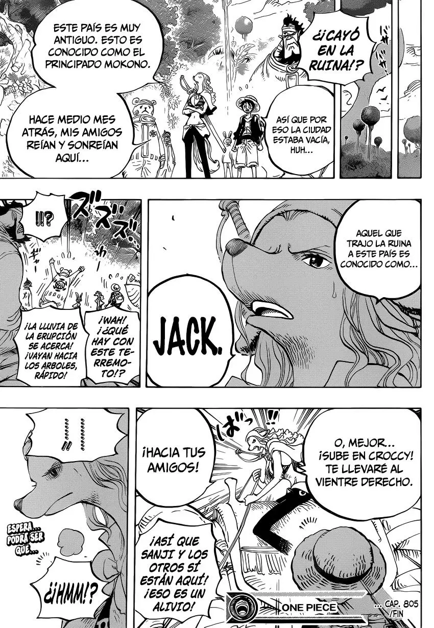 One Piece - Capítulo 805 - Página 17 - LectorTMOo