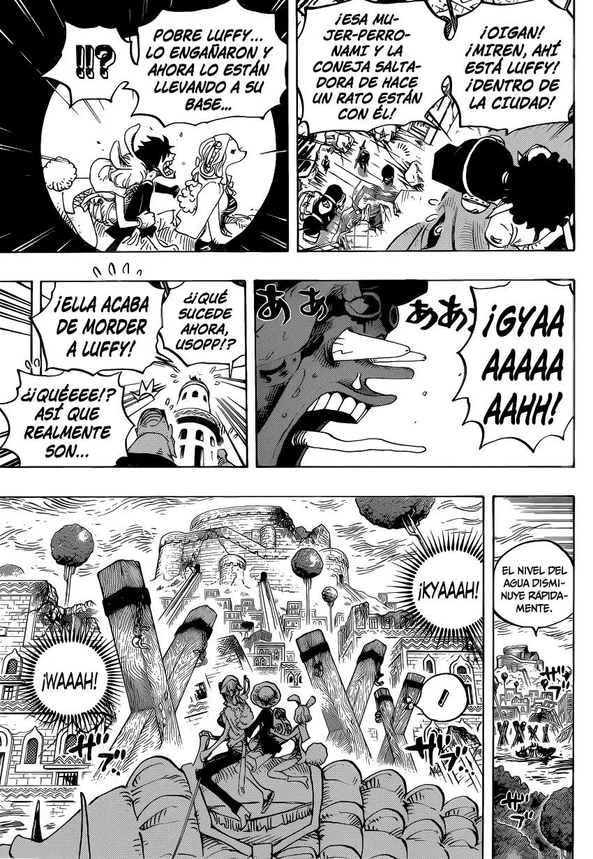 One Piece - Capítulo 806 - Página 8 - LectorTMOo