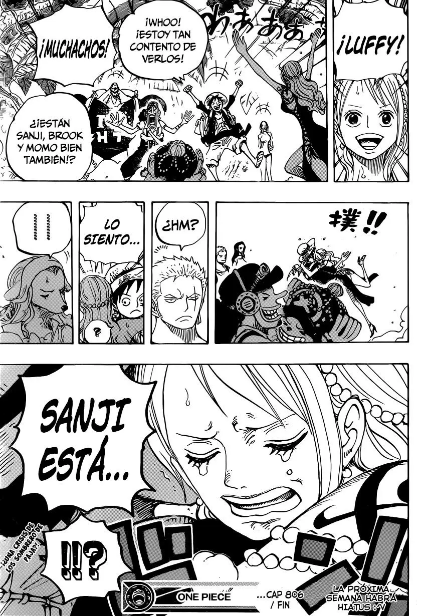 One Piece - Capítulo 806 - Página 17 - LectorTMOo