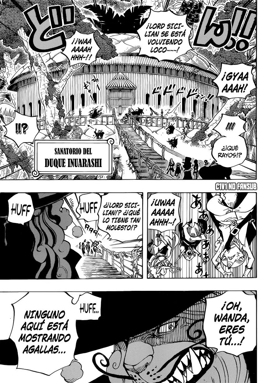 One Piece - Capítulo 808 - Página 13 - LectorTMOo
