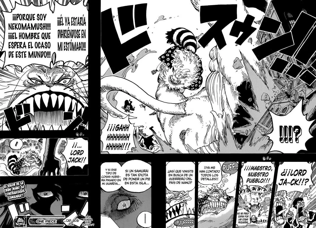 One Piece - Capítulo 809 - Página 17 - LectorTMOo