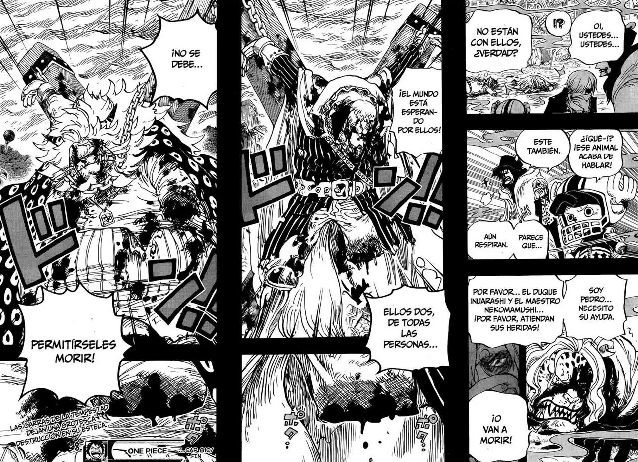One Piece - Capítulo 810 - Página 17 - LectorTMOo
