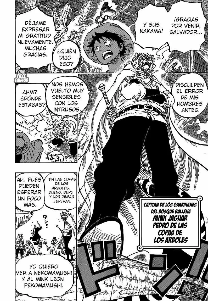One Piece - Capítulo 814 - Página 12 - LectorTMOo