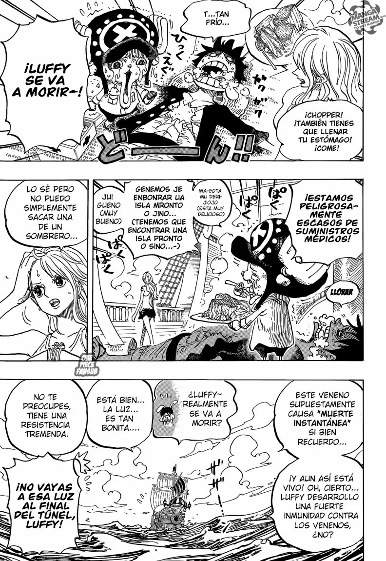 One Piece - Capítulo 825 - Página 12 - LectorTMOo