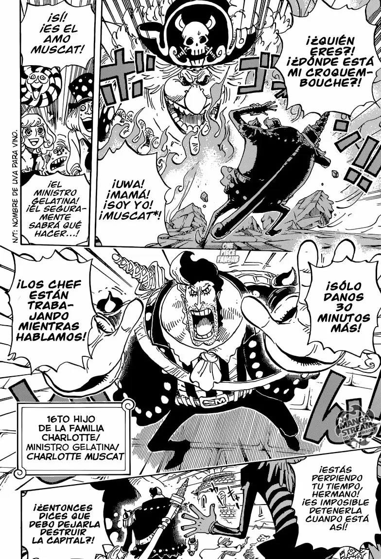 One Piece - Capítulo 829 - Página 10 - LectorTMOo