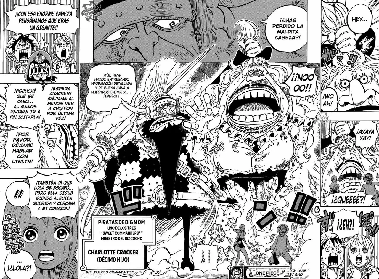 One Piece - Capítulo 835 - Página 19 - LectorTMOo