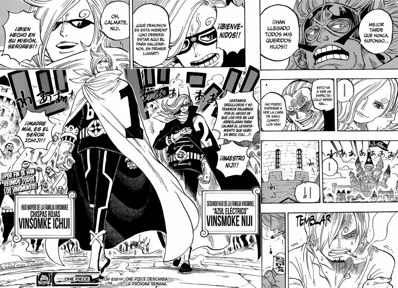 One Piece - Capítulo 838 - Página 15 - LectorTMOo
