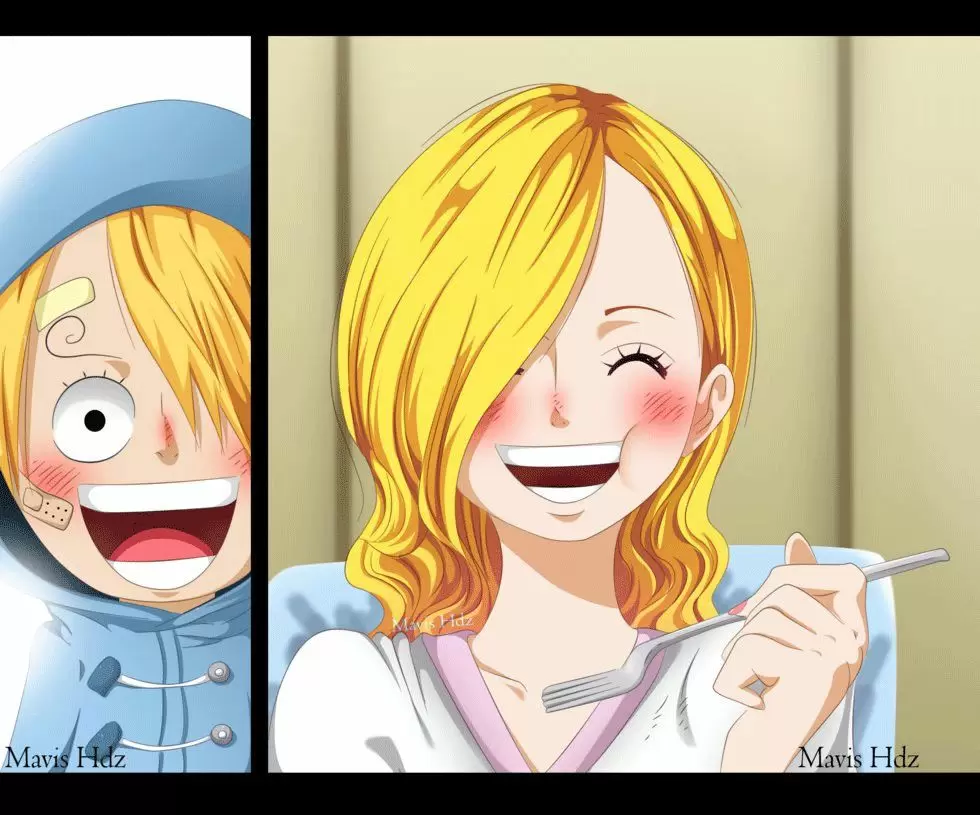 One Piece - Capítulo 842 - Página 15 - LectorTMOo