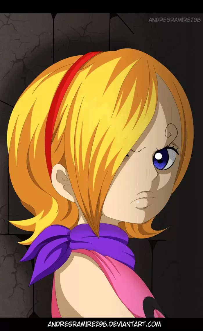 One Piece - Capítulo 842 - Página 16 - LectorTMOo