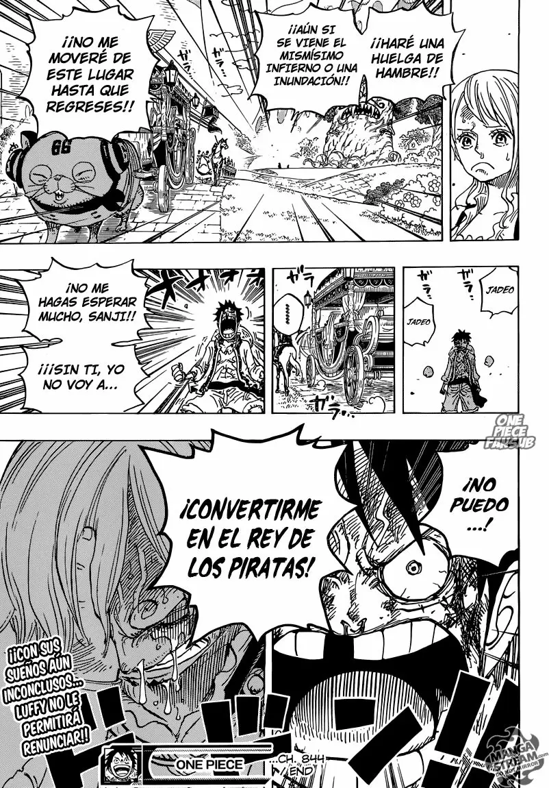 One Piece - Capítulo 844 - Página 17 - LectorTMOo