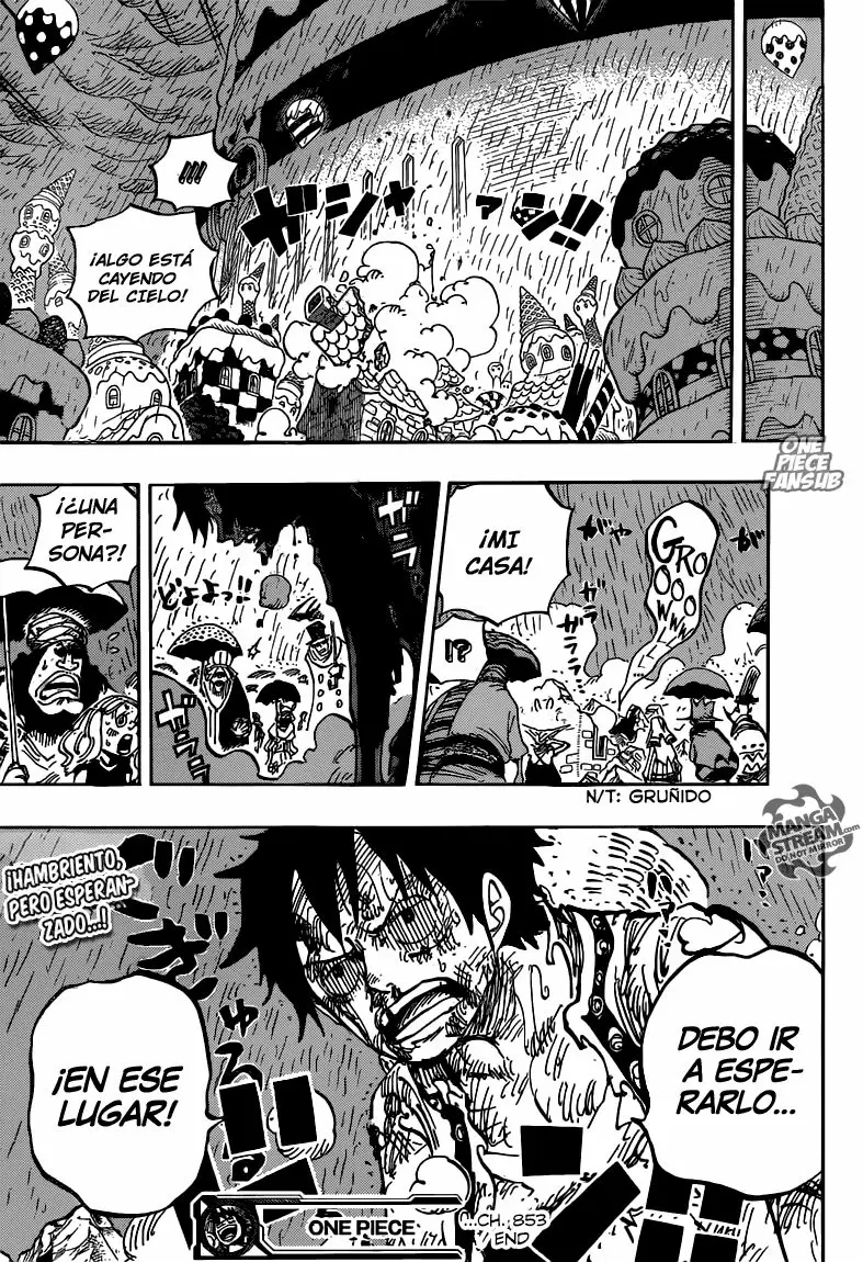 One Piece - Capítulo 853 - Página 16 - LectorTMOo
