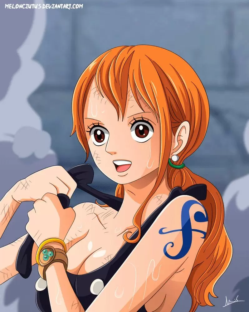 One Piece - Capítulo 853 - Página 17 - LectorTMOo