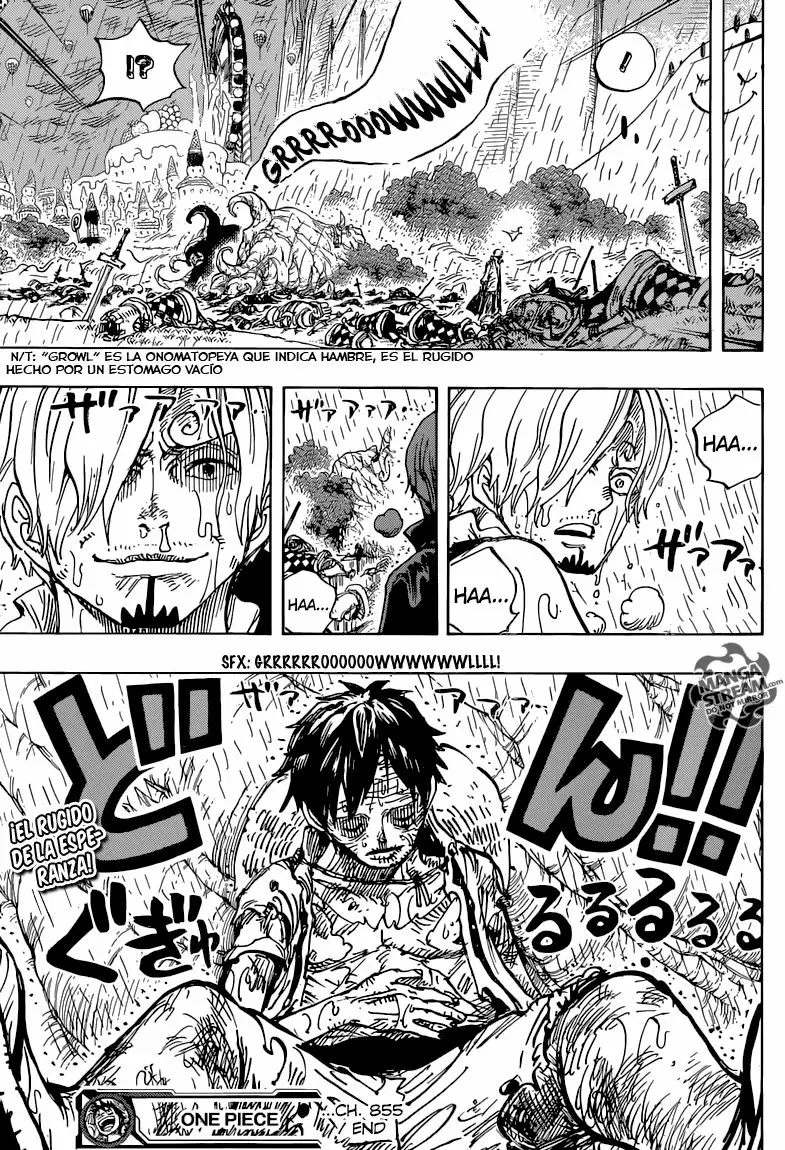 One Piece - Capítulo 855 - Página 17 - LectorTMOo