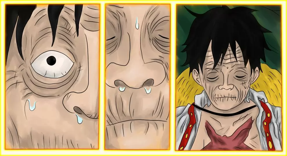 One Piece - Capítulo 857 - Página 24 - LectorTMOo